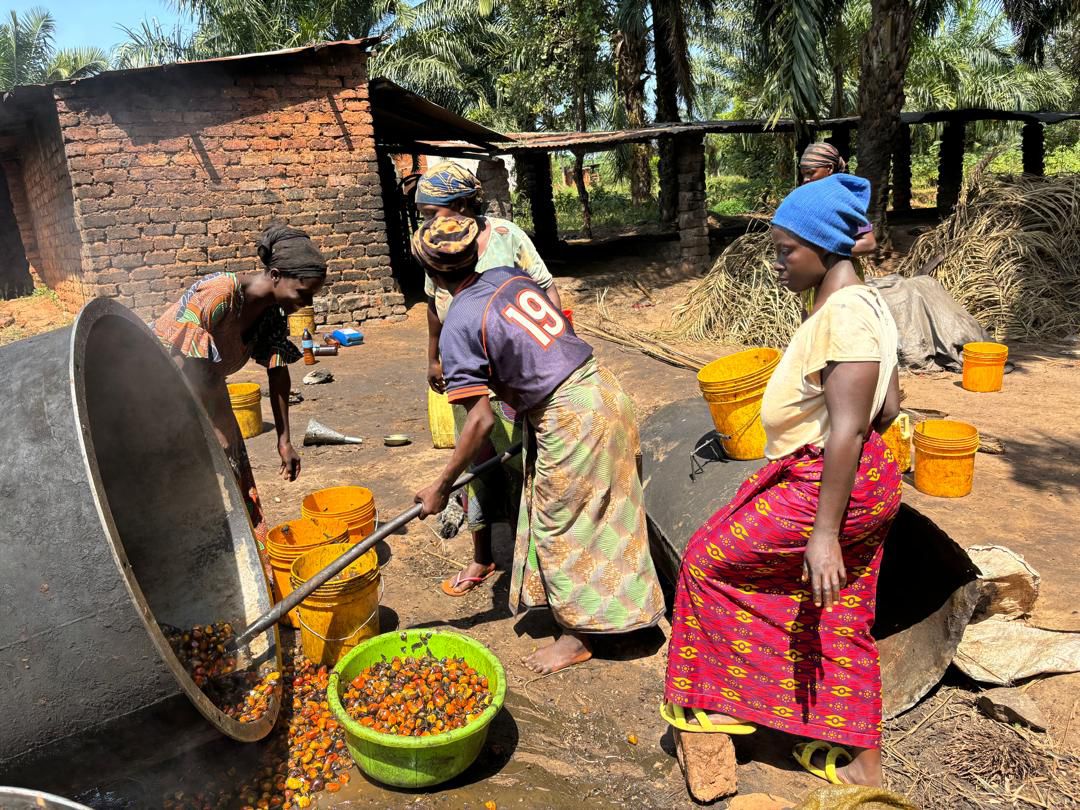 B4D Biochar Production