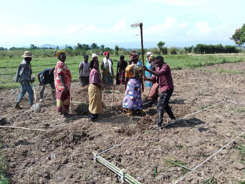 B4D Biochar Production