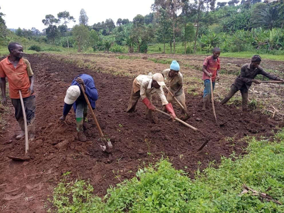 B4D Biochar Production