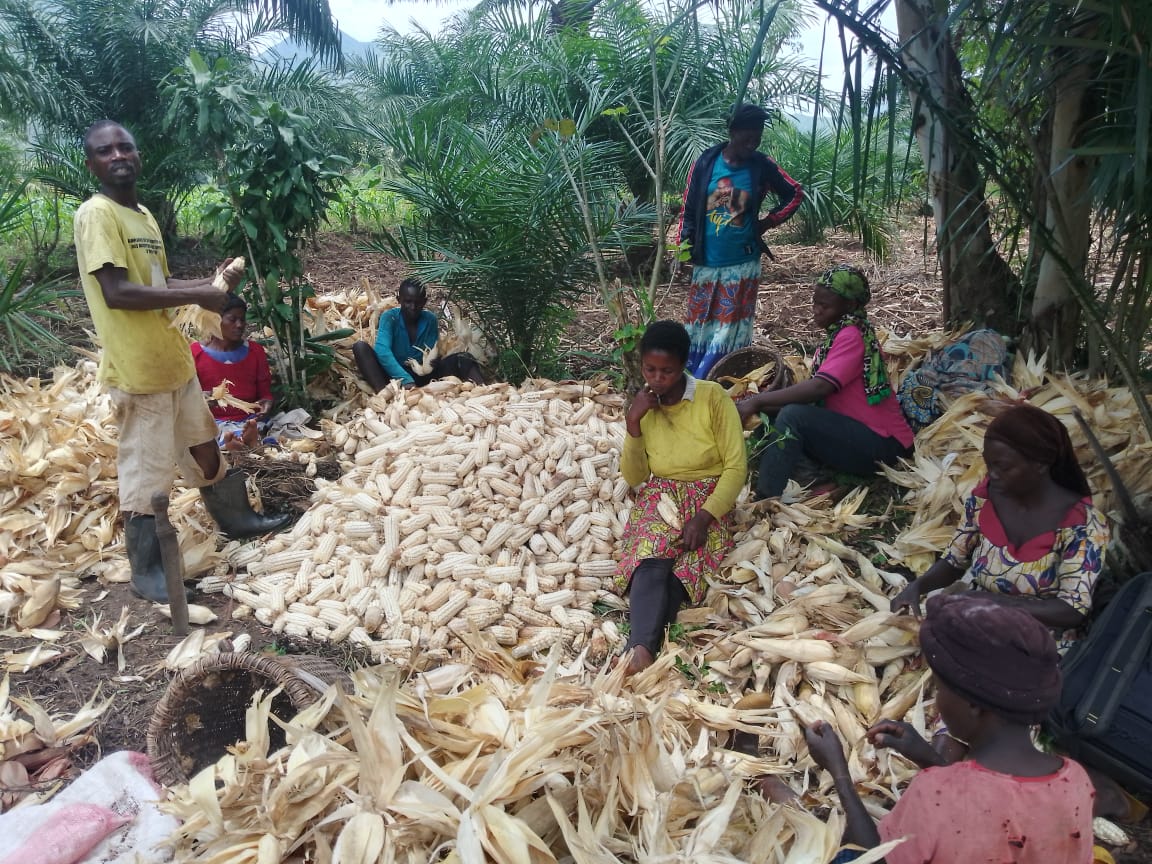 B4D Biochar Production