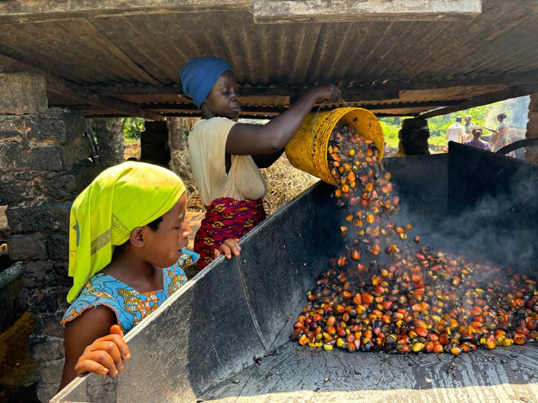 B4D Biochar Production