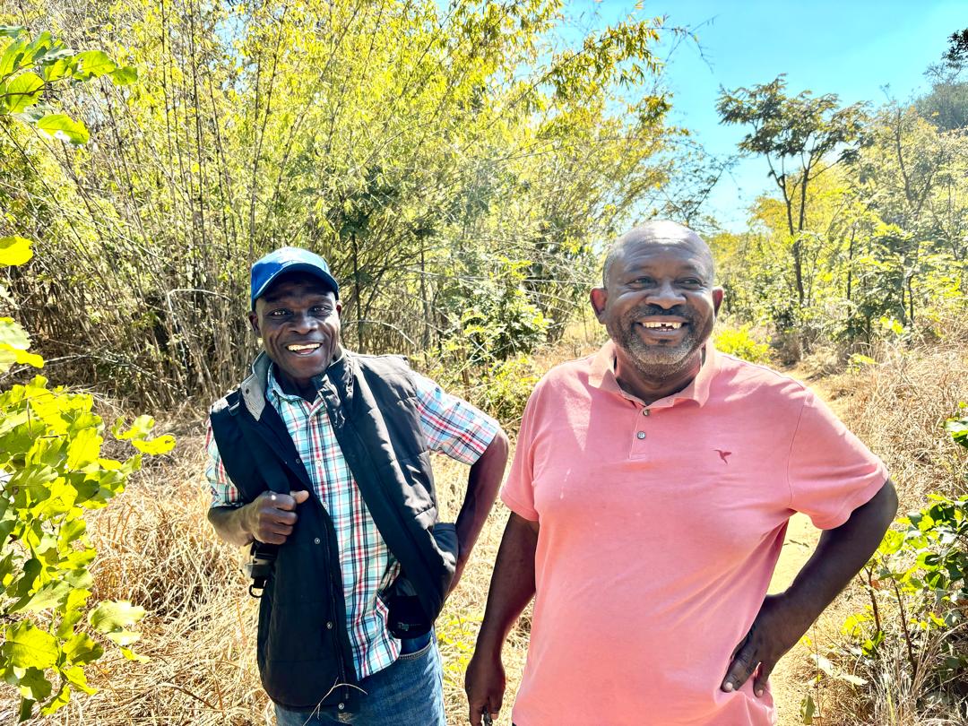 B4D Biochar Production